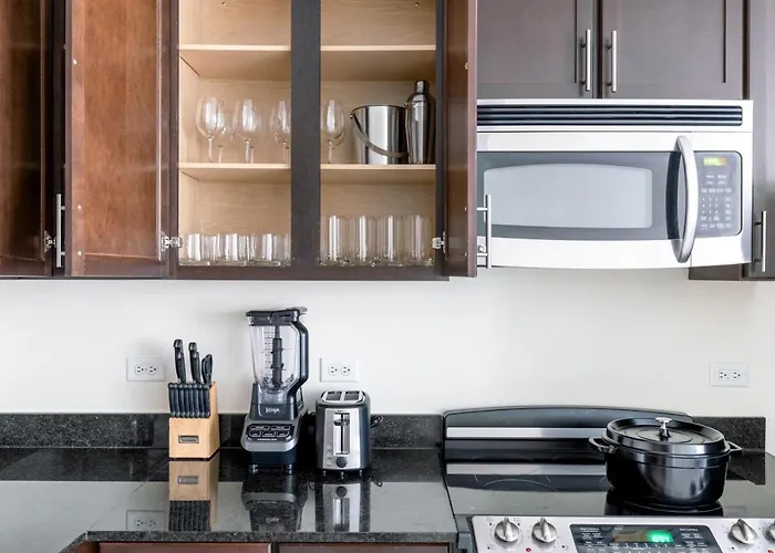 Loop 1br W Pool Gym Nr The L Riverwalk Chi-242 * Chicago