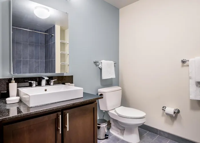 Apartamento Loop 1br W Pool Gym Nr The L Riverwalk Chi-242 Chicago